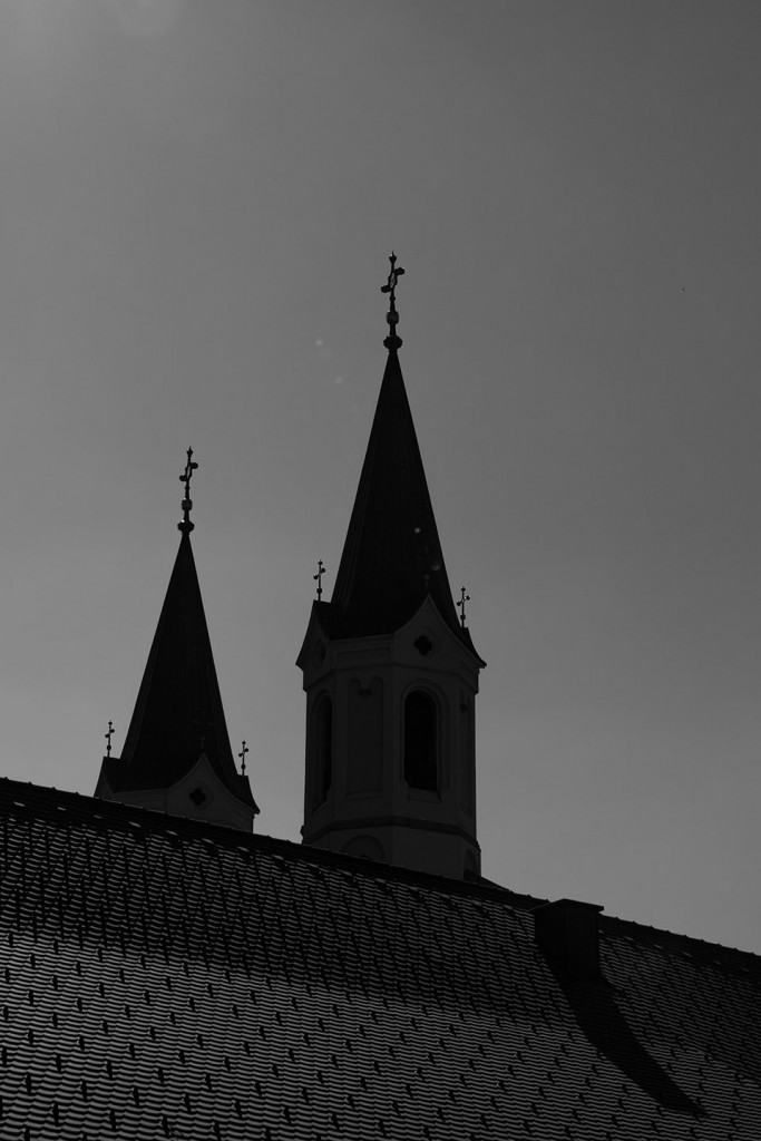 ZYKLUS BRUNECK