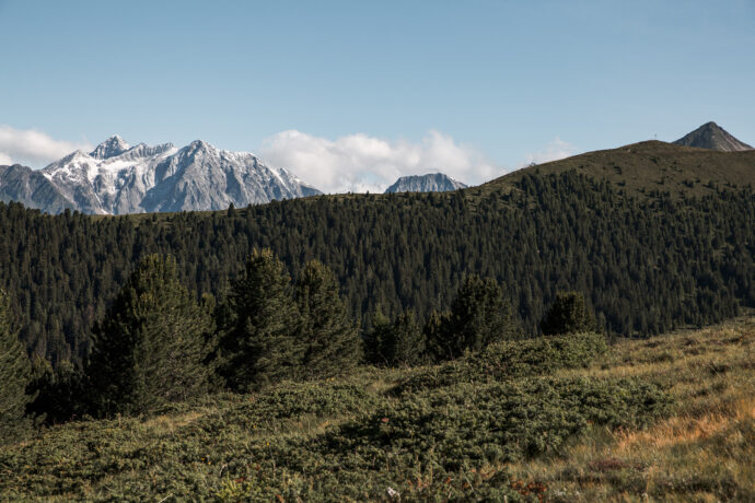 alpenhigh-6987-web©carolinerenzler