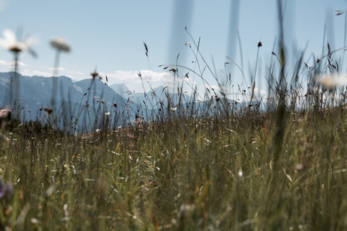 alpenhigh-7460-web©carolinerenzler