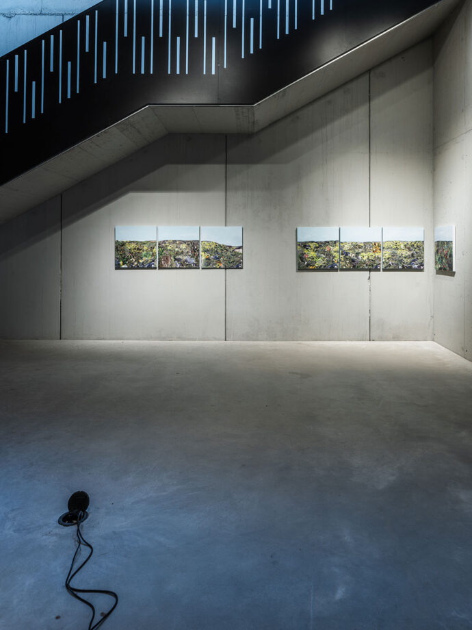 Eck Museum of Art, Bruneck, Brunico, Fotografie, Architektur, Kunst, silbersalz, Welsberg