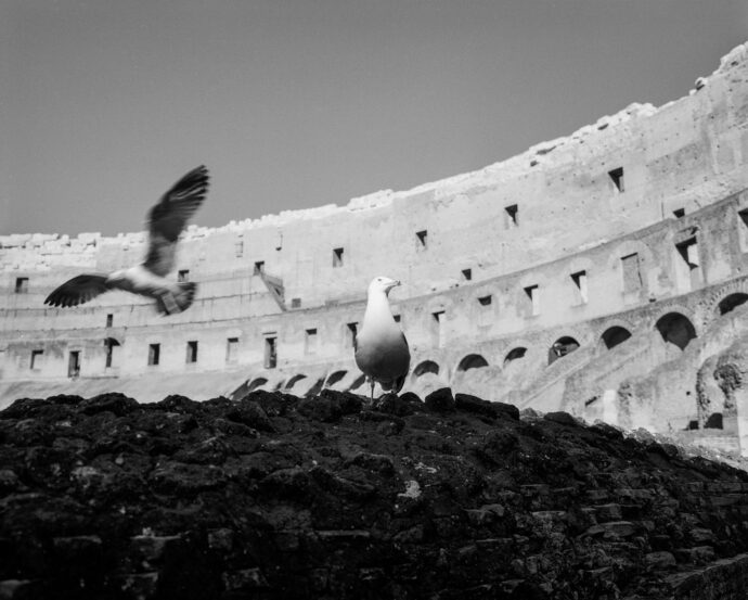 Roma, Reise, analog, Fotografie, Dunkelkammer, Silbersalz, Südtirol