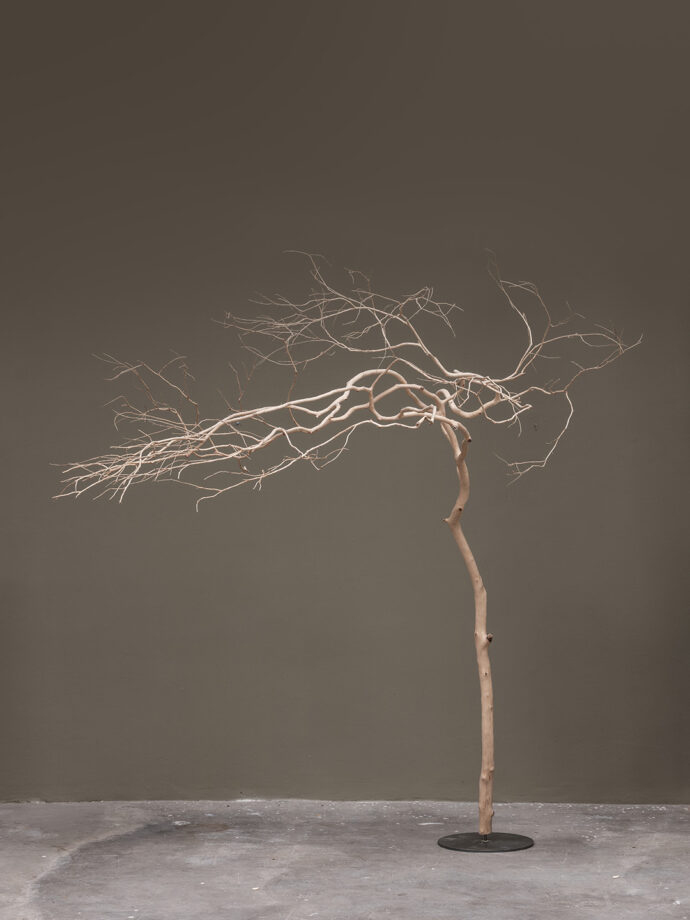 Robert Griessmair, Kunst, Welsberg, Fotografie, Reportage, silbersalz, Holz