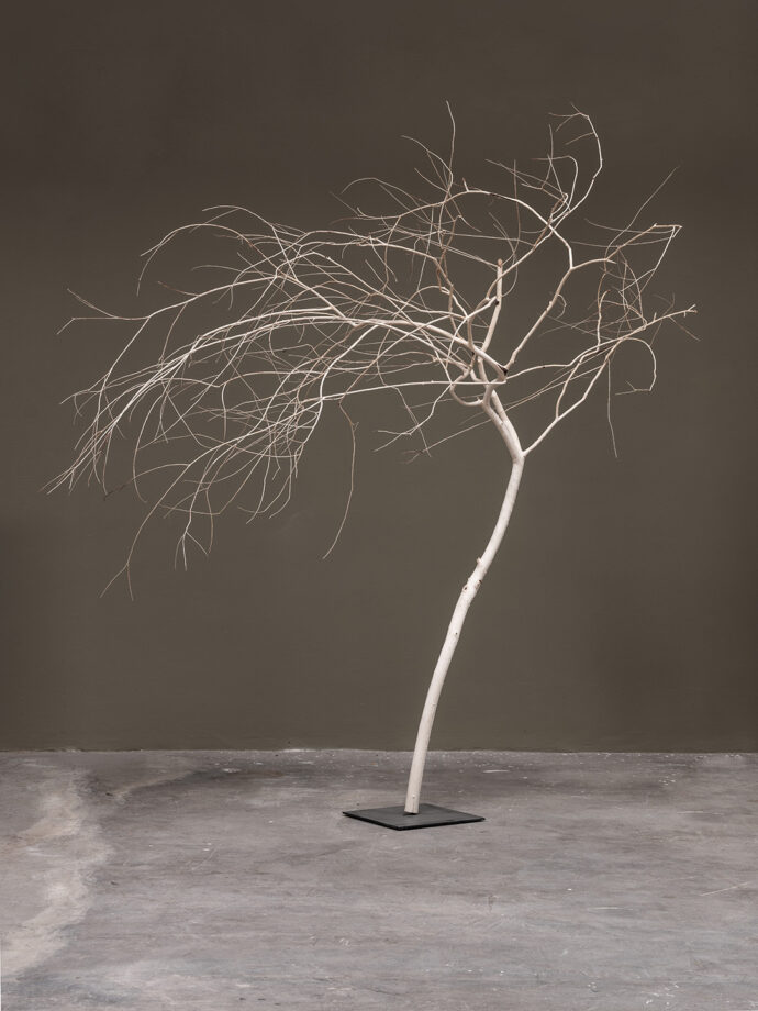 Robert Griessmair, Kunst, Welsberg, Fotografie, Reportage, silbersalz, Holz