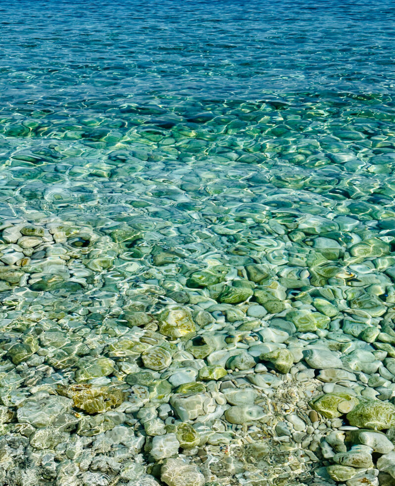 025-2928-apicaday-web
