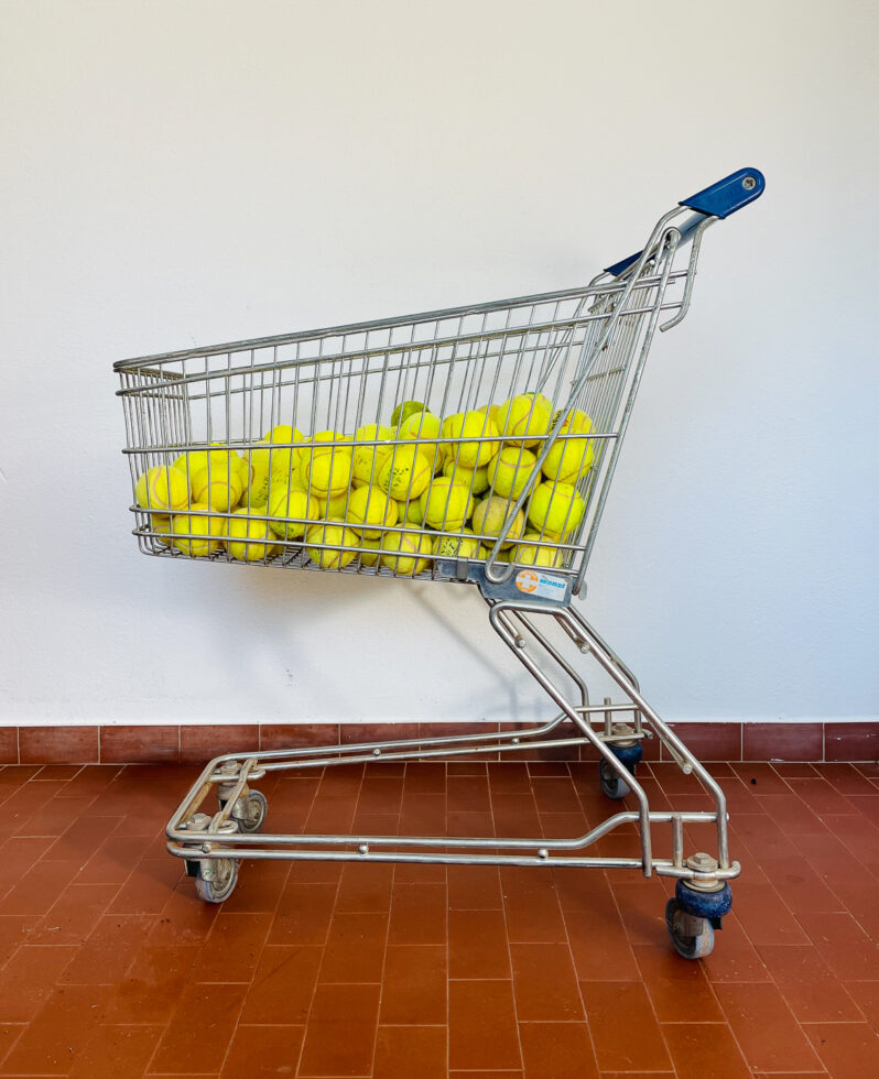 041-6054-apicaday-web