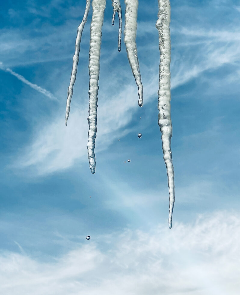 115-8123-apicaday-web