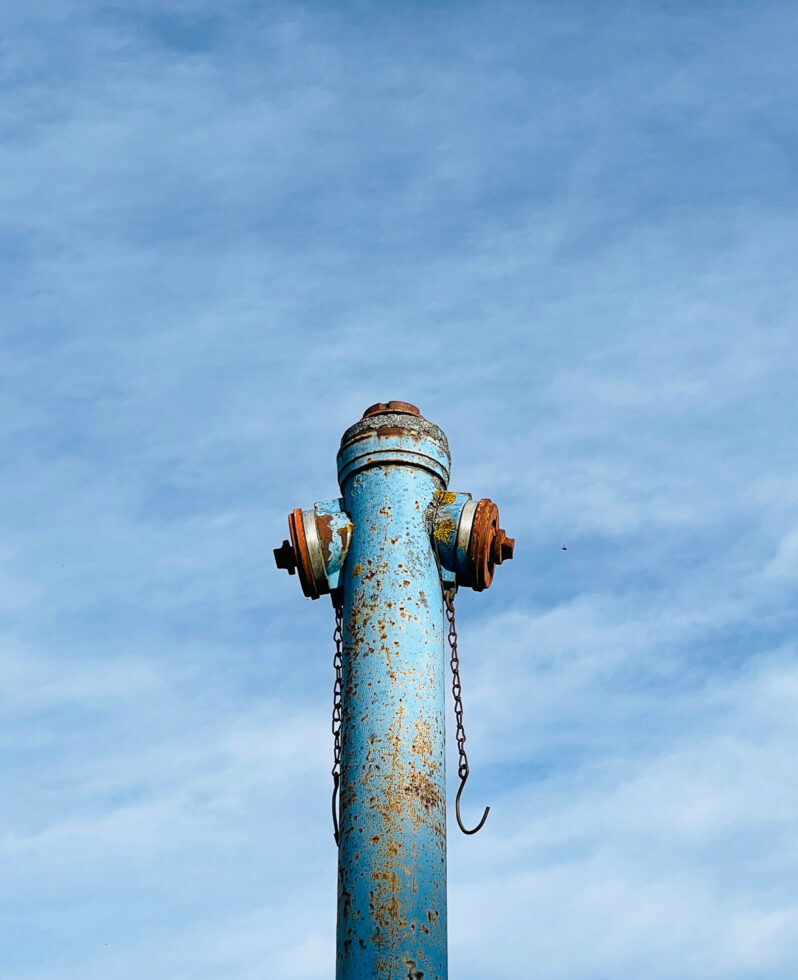 240-1028-apicaday-web