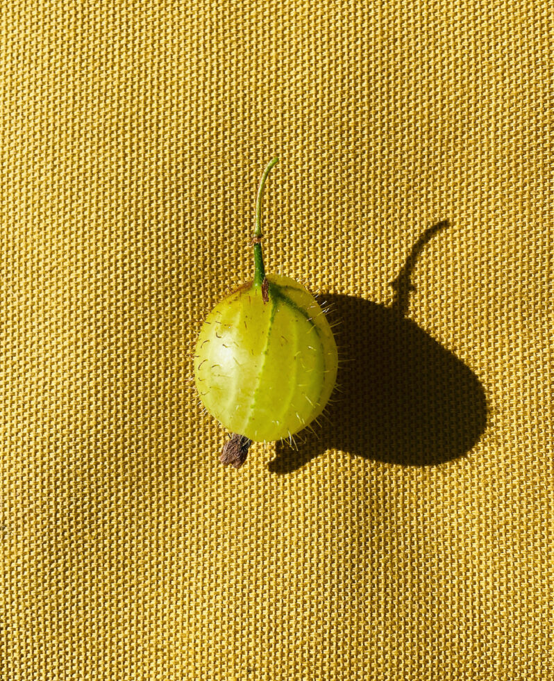 337-7-apicaday-web